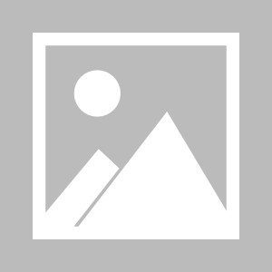 海星直播APP|拜仁慕尼黑球员因伤缺席下一场比赛