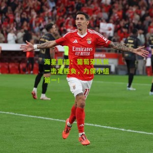 海星直播：葡萄牙队长一击定胜负，力保小组第一！