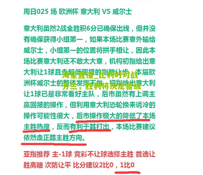 比利时对战芬兰，胜利将决定晋级