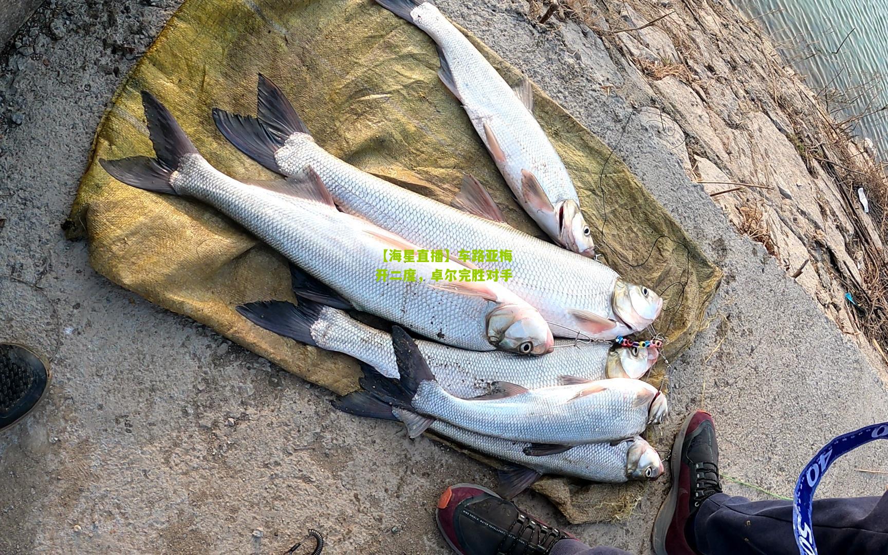 车路亚梅开二度，卓尔完胜对手